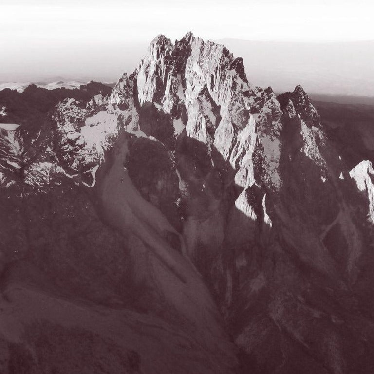'Mount Kenya' kussen (45x45)